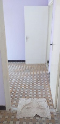 2584_0.jpg